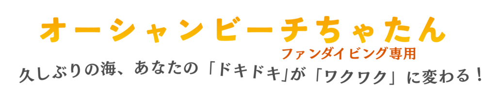 初心者・1人・女性でも安心できる沖縄のファンダイビング